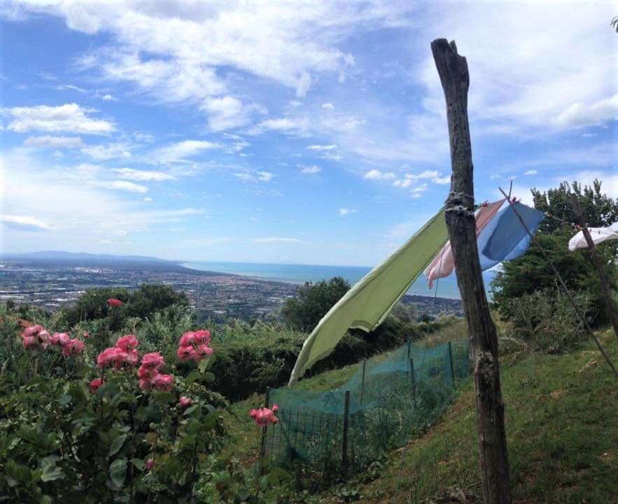 Bed & Breakfast Villa Masini-Luccetti Pietrasanta Extérieur photo